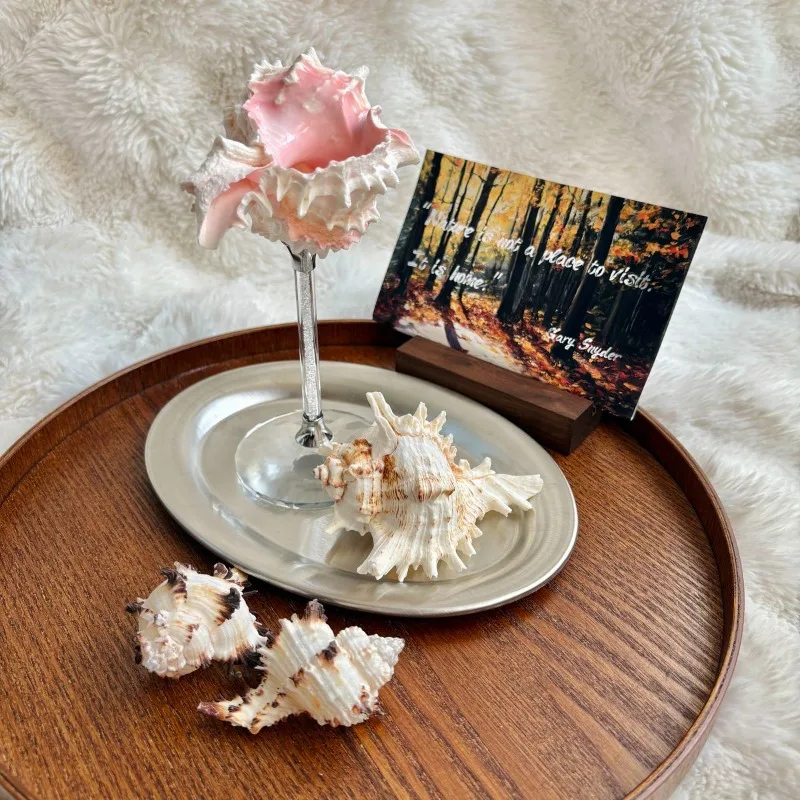 Edle Muschel-Champagnergläser  – Lighting Home Decor Ideas Bewertung und Preis